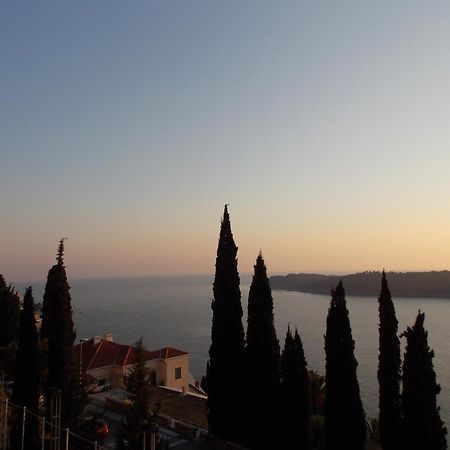Apartment Matea Zlatni Potok Dubrovnik Dış mekan fotoğraf